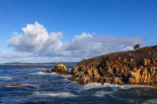 Point Lobos-1821.jpg